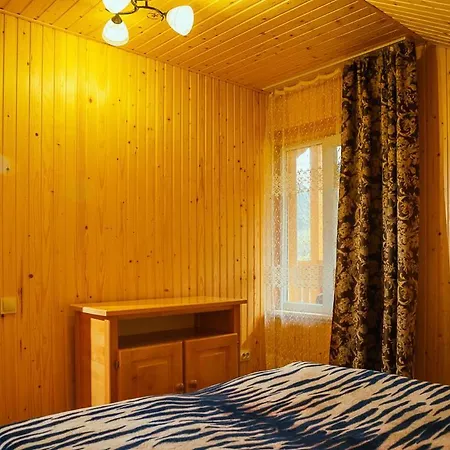 анничка Apartment Krivorovnya